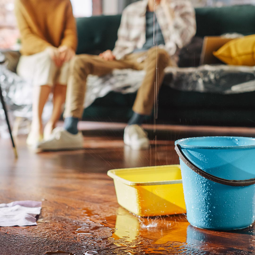 Professional Water Damage Restoration Services